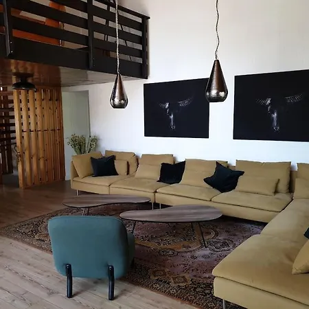 16 Personen Harzhaus Fuer Gruppen In 別荘