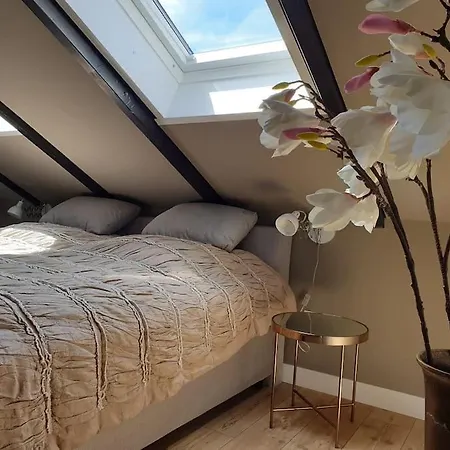 Holiday home 16 Personen Harzhaus Fuer Gruppen In Clausthal-Zellerfeld